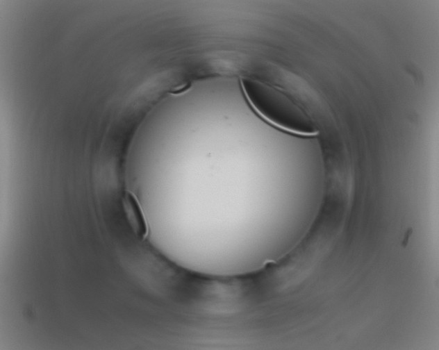 X0000114390317200910161259