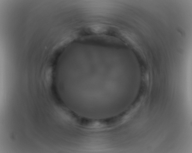 X0000114390319200910161259
