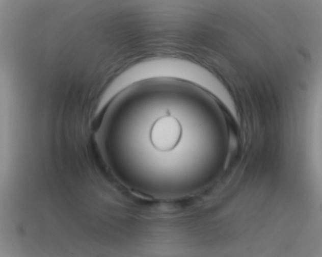 X0000114390320200910161259