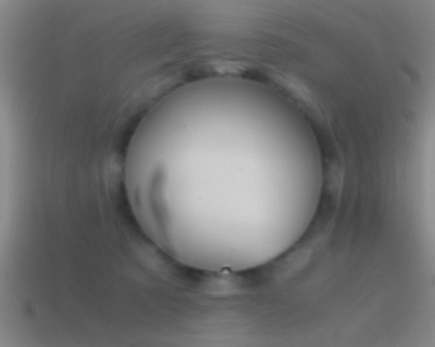 X0000114390321200910161259