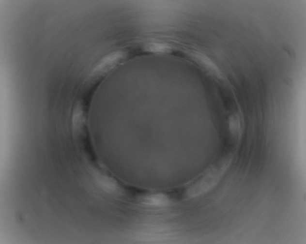 X0000114390322200910161259