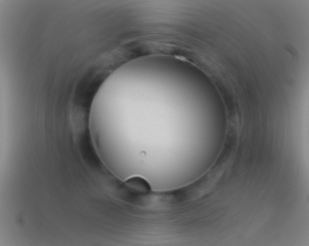 X0000114390323200910161259