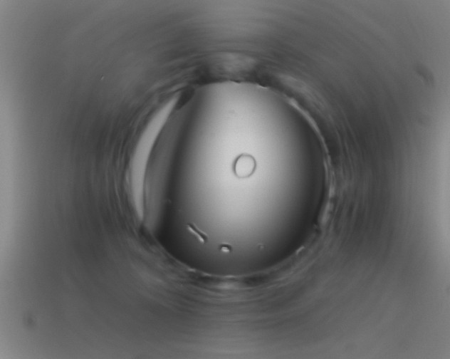 X0000114390324200910161259