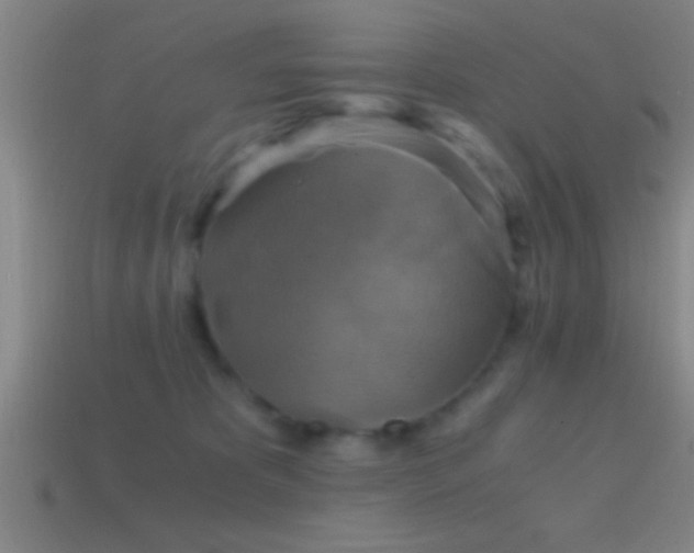 X0000114390325200910161259