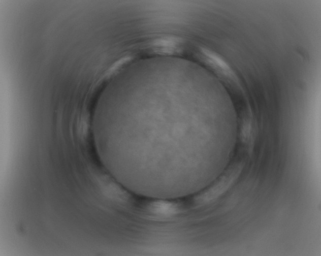 X0000114390326200910161259