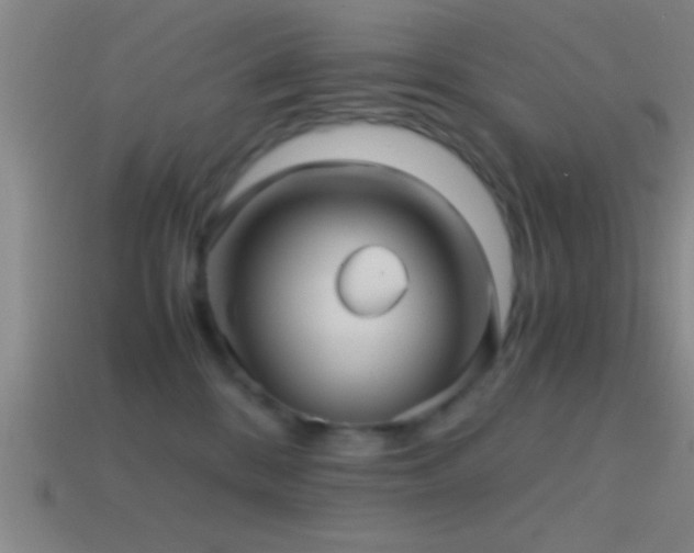 X0000114390328200910161259