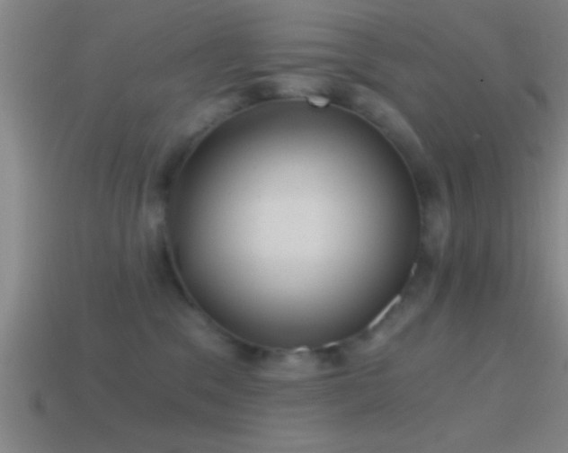 X0000114390329200910161259