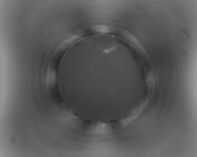 X0000114390330200910161259