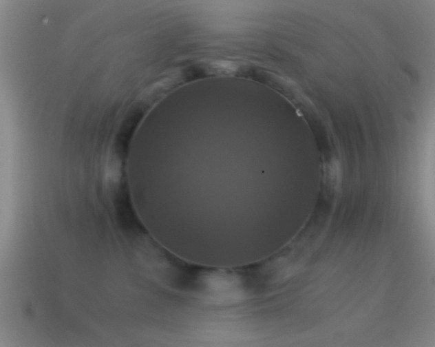 X0000114390331200910161259