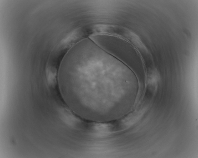 X0000114390332200910161259