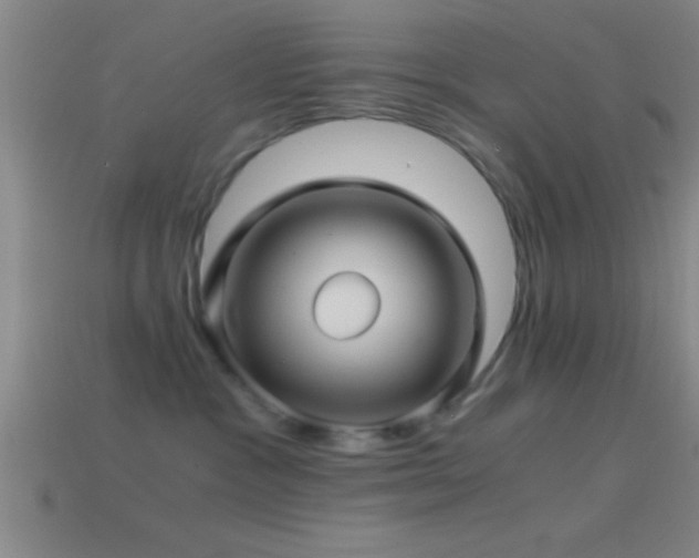 X0000114390333200910161259