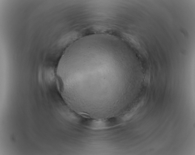X0000114390335200910161259