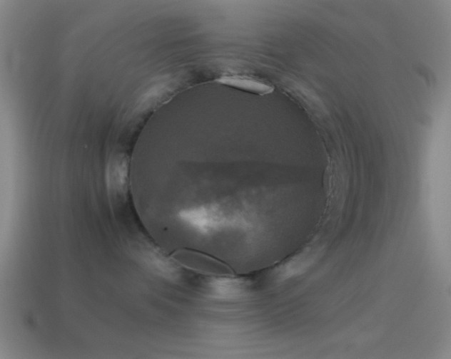 X0000114390336200910161259