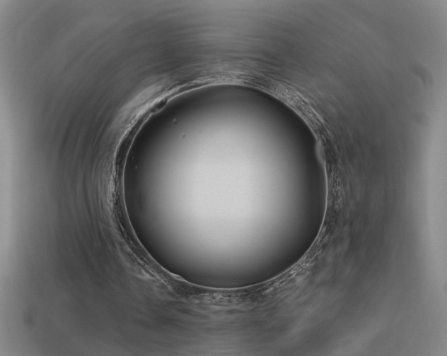 X0000114390338200910161258