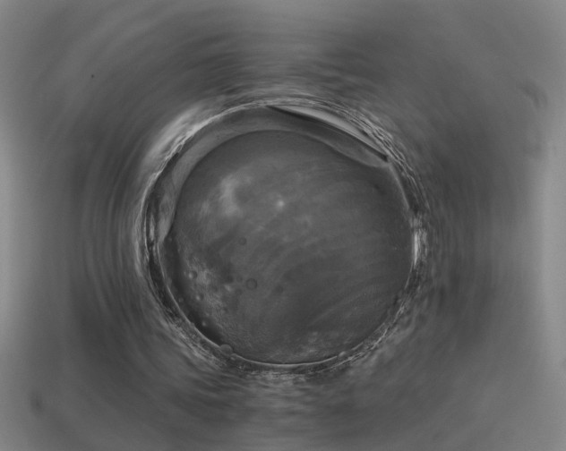 X0000114390339200910161258