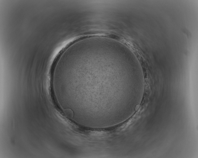 X0000114390342200910161259