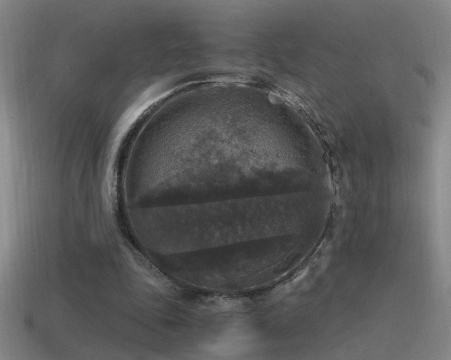 X0000114390343200910161259