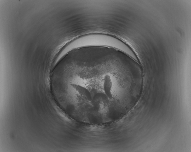 X0000114390345200910161259