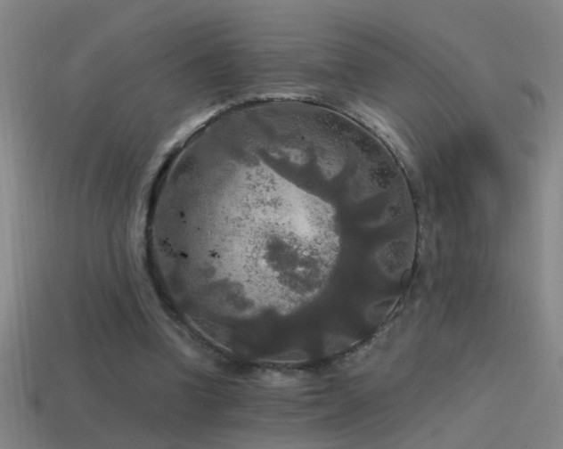 X0000114390346200910161259