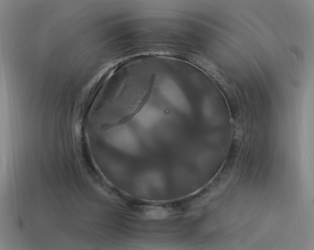 X0000114390347200910161259