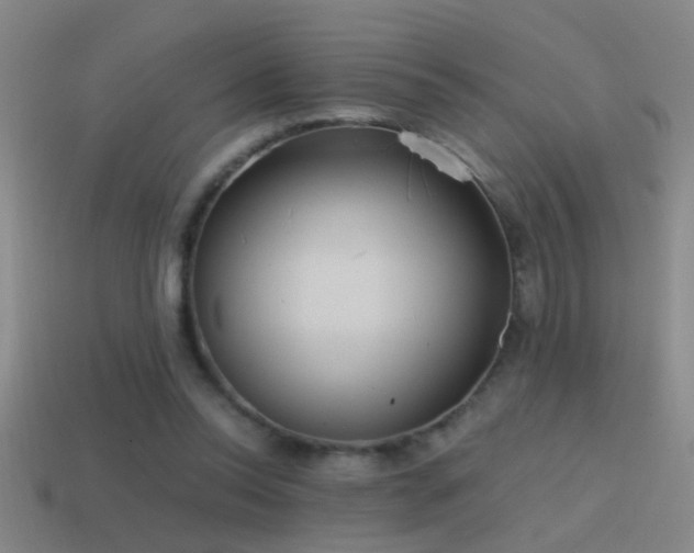 X0000114390350200910161259