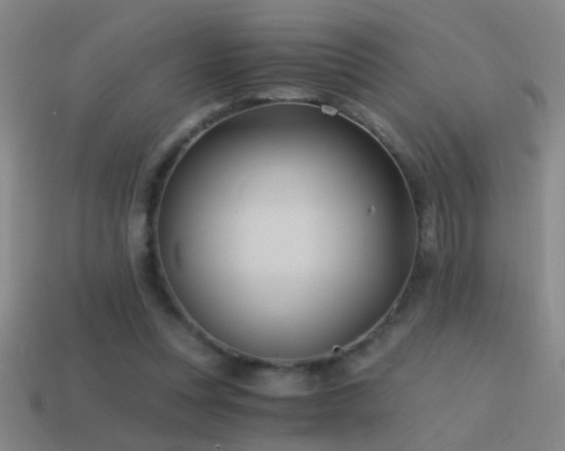 X0000114390351200910161259