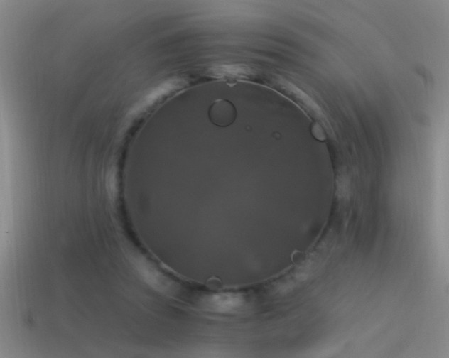 X0000114390353200910161259