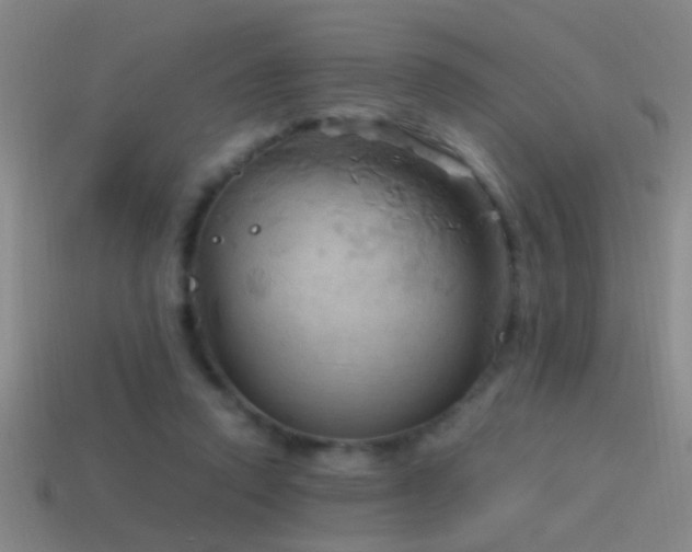 X0000114390354200910161259