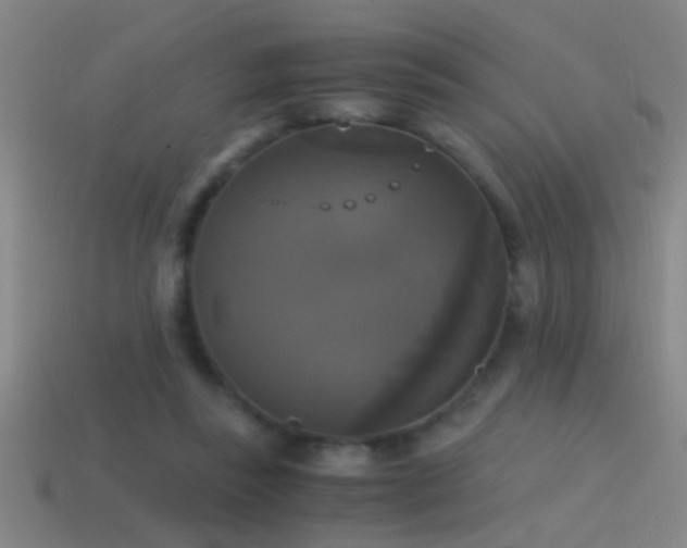 X0000114390355200910161259