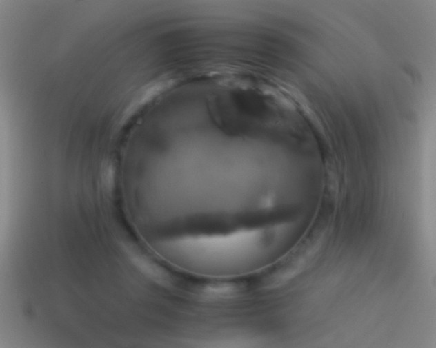 X0000114390357200910161259