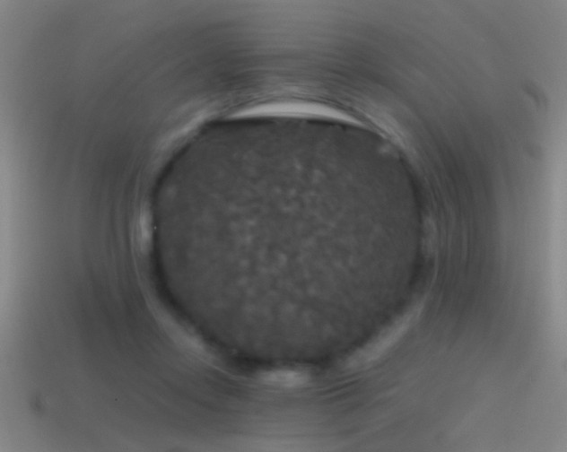X0000114390358200910161259