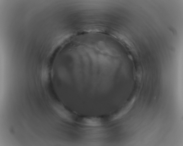 X0000114390359200910161259