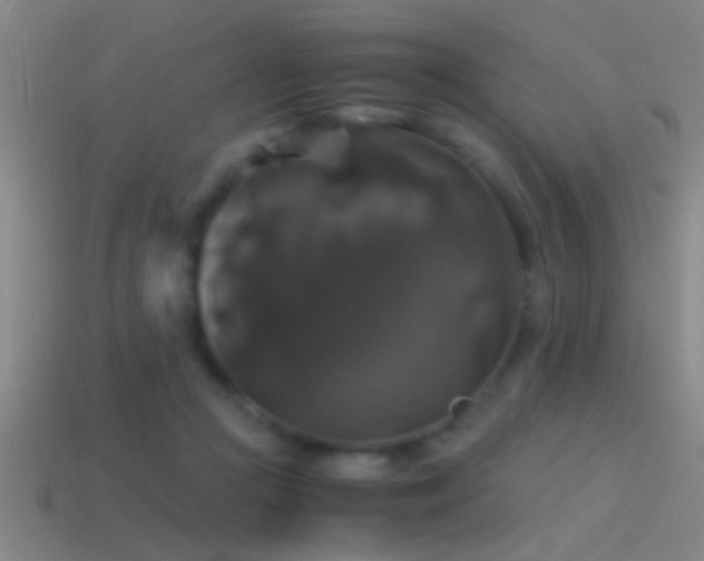 X0000114390361200910161259