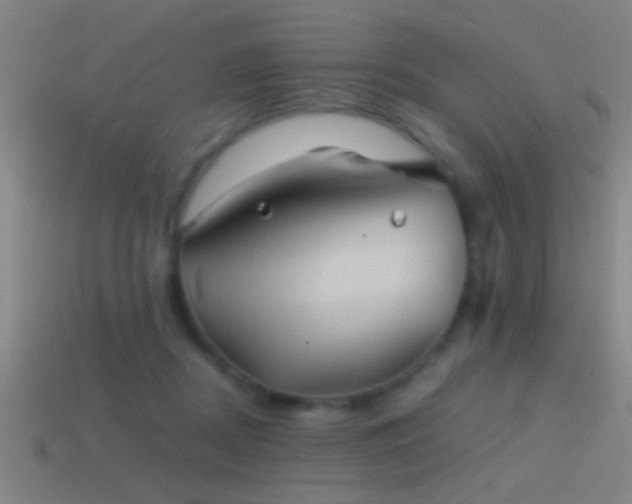 X0000114390362200910161259