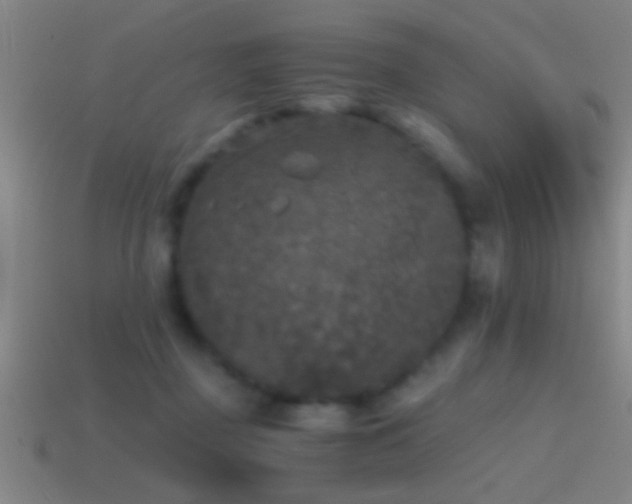X0000114390363200910161259