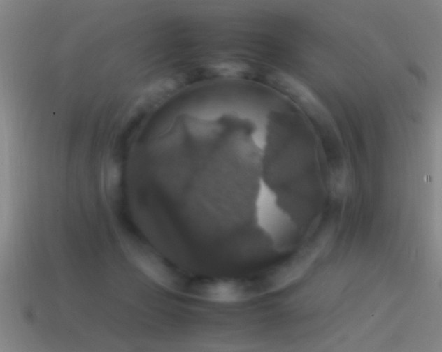 X0000114390365200910161259