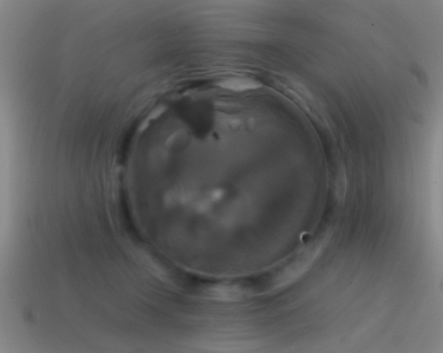 X0000114390366200910161259