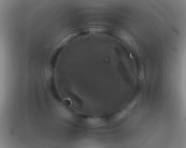 X0000114390367200910161259