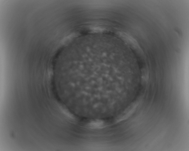 X0000114390369200910161259