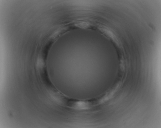 X0000114390371200910161259