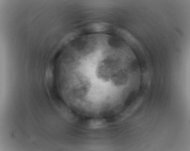 X0000114390373200910161259