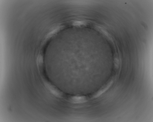 X0000114390375200910161259