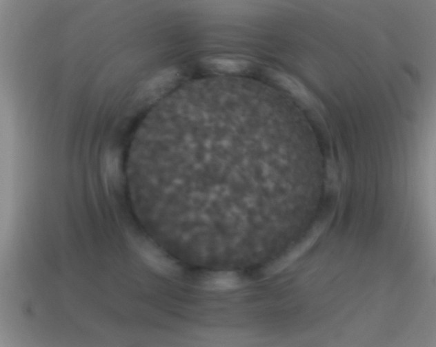 X0000114390377200910161259