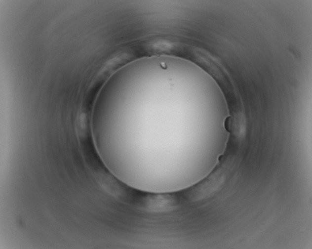 X0000114390378200910161259