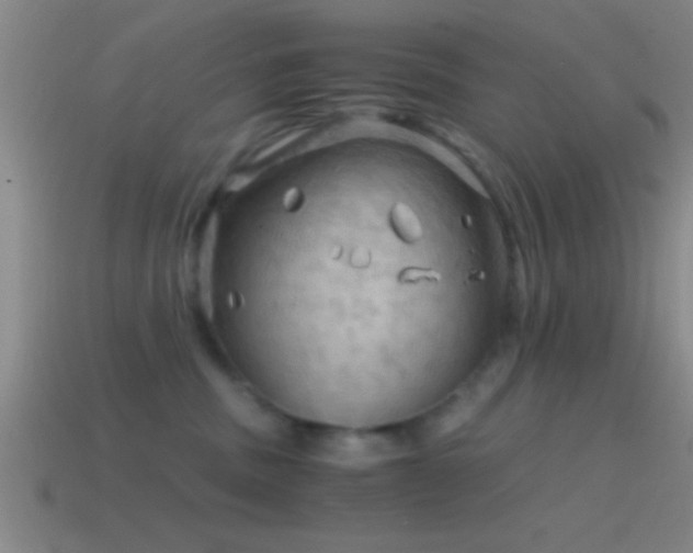 X0000114390379200910161259