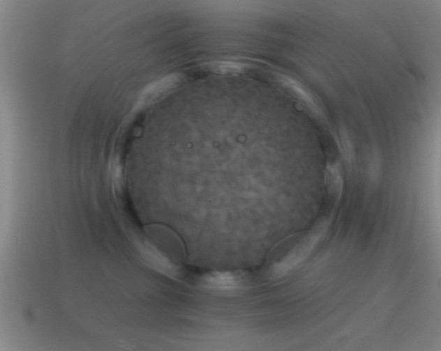 X0000114390381200910161259