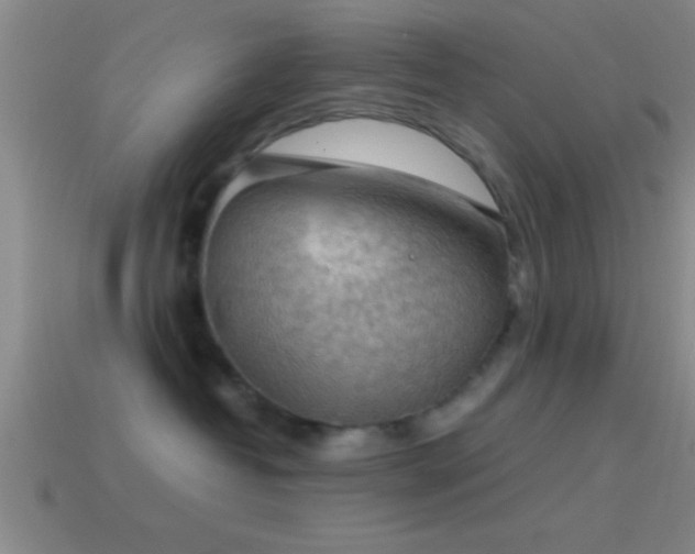 X0000114390382200910161259