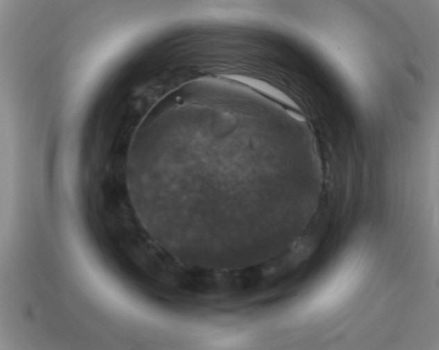 X0000114390383200910161259