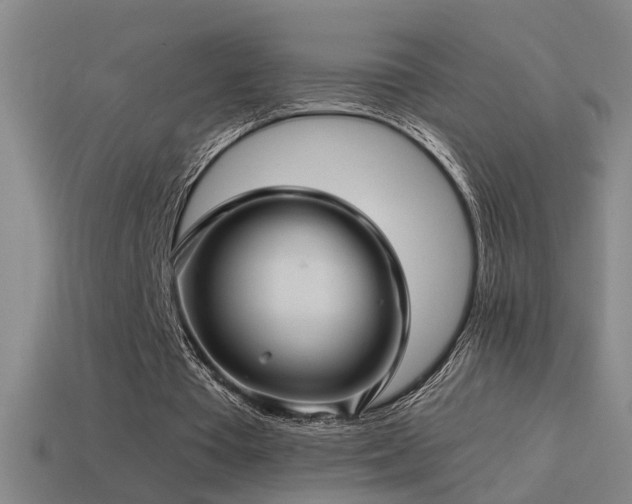 X0000114390385200910161258