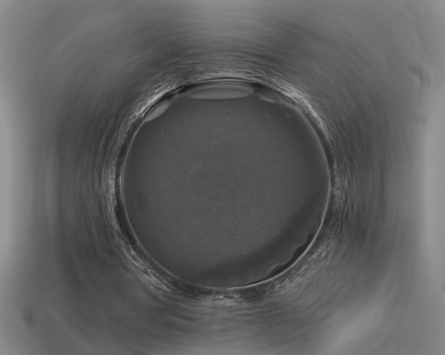 X0000114390386200910161258